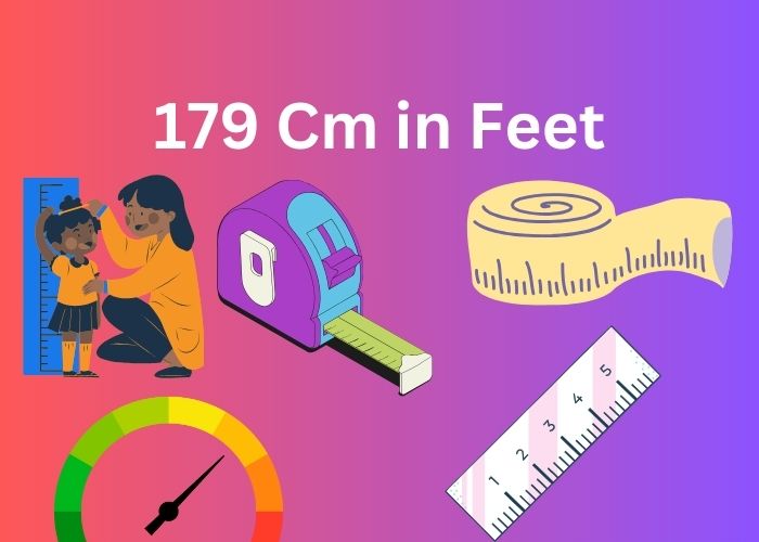 161 cm 2024 height in feet