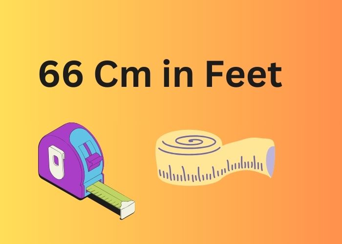 1 66 2025 cm in feet